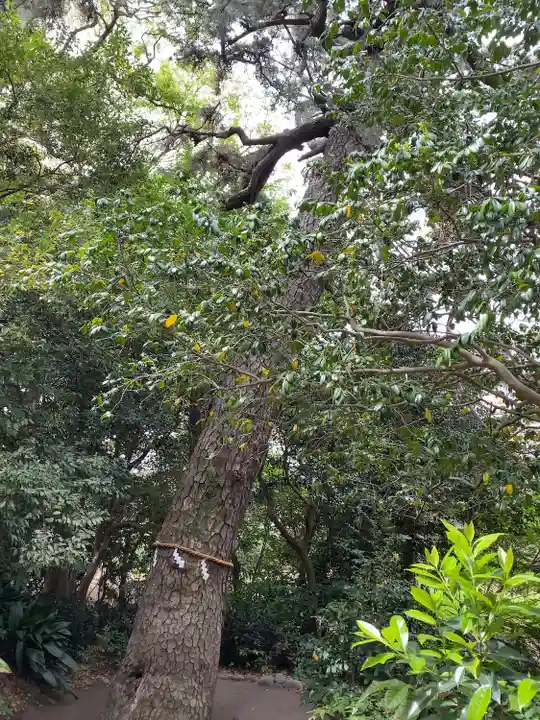 第六天神社(神奈川県)