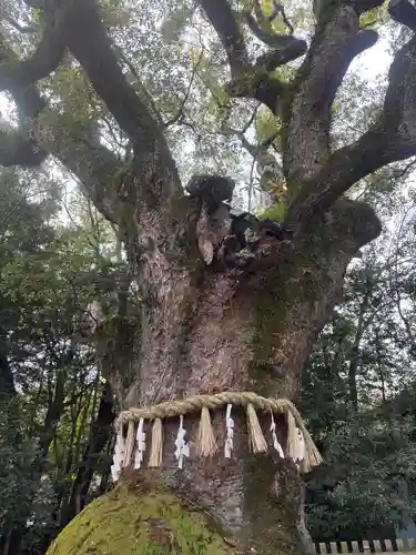 熱田神宮(愛知県)