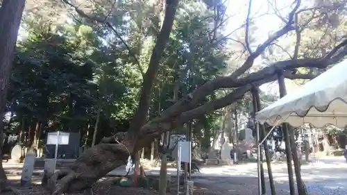 北野天神社のその他建物