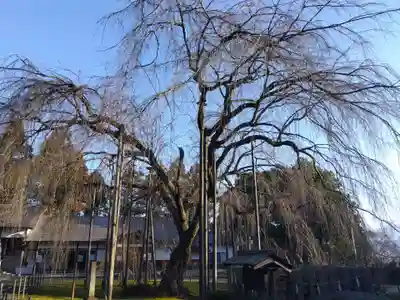 足羽神社(福井県)