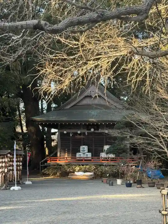 大宮八幡宮の{uncategorized: "未分類", other: "その他", undefined: "問題あり", building: "その他建物", grave: "お墓", sacred_gate: "鳥居", guardian: "狛犬", statue: "像", buddha: "仏像", history: "歴史", nature: "自然", garden: "庭園", animal: "動物", pagoda: "塔", temizu: "手水舎", mountain_gate: "山門・神門", sanctuary: "本殿・本堂", subordinate: "末社・摂社", art: "芸術", scenery: "景色", jizo: "地蔵", ema: "絵馬", goshuin: "御朱印", omikuji: "おみくじ", items: "授与品その他", amulet: "お守り", goshuincho: "御朱印帳", eats: "食事", festival: "お祭り", votive_dance: "神楽", shichigosan: "七五三参", wedding: "結婚式", experience: "体験その他", initially: "初詣", around: "周辺", anti_infection: "感染症対策"}