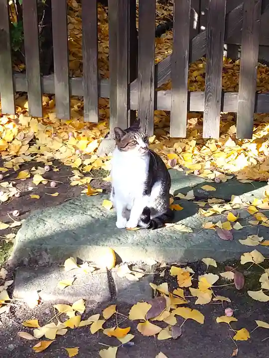 阿邪訶根神社(福島県)