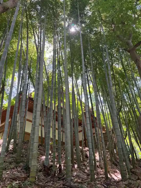 円覚寺(神奈川県)
