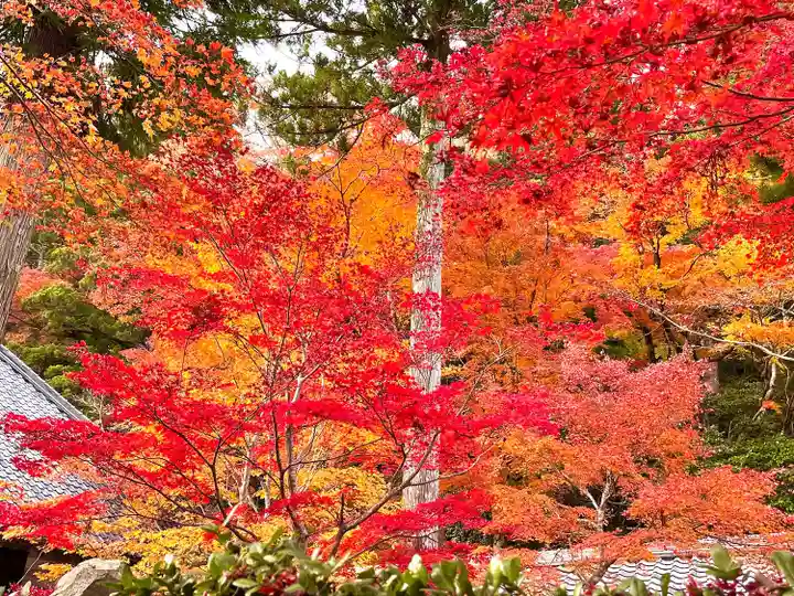 永源寺(滋賀県)