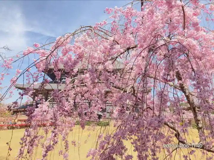 東大寺(奈良県)