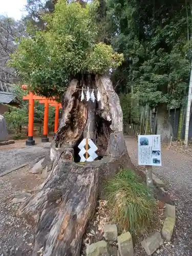 常磐神社(茨城県)