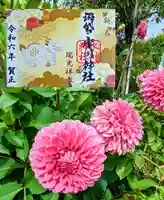中野沼袋氷川神社の御朱印