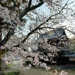 伊勢の国 四天王寺(三重県)(2026年03月30日(月) 13時00分25秒投稿)