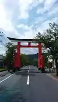 鹿児島神宮の鳥居