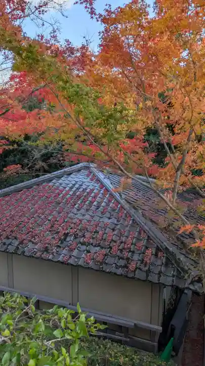 平等院(京都府)