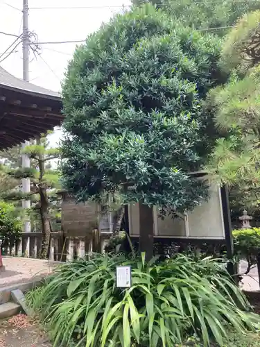 鶴嶺八幡宮(神奈川県)
