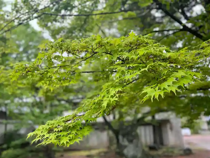 伊勢の国 四天王寺(三重県)