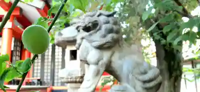 くまくま神社(導きの社 熊野町熊野神社)の狛犬