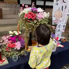 伊勢原 法泉寺のお祭り