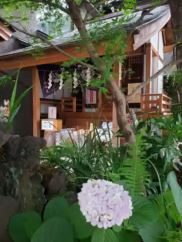 五十稲荷神社(栄寿稲荷神社)(東京都)