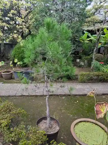 本妙院(東京都)