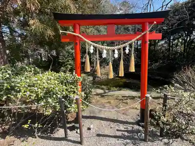 鷲宮神社(埼玉県)