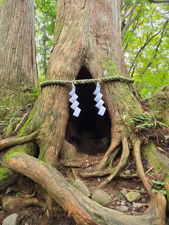 戸隠神社奥社(長野県)