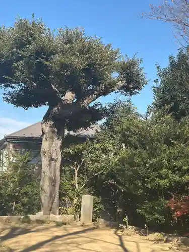 入谷氷川神社(東京都)