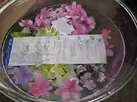 春日神社のおみくじ