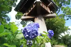 伊勢山皇大神宮の自然