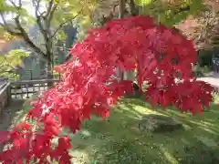 長谷寺(奈良県)