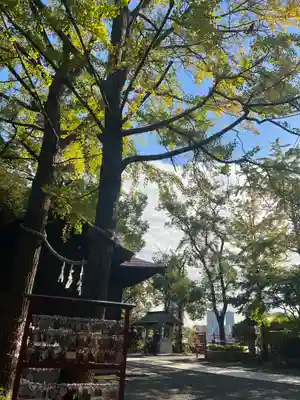 多摩川浅間神社(東京都)