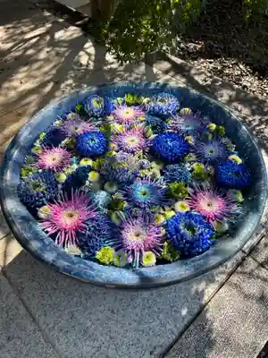 行田八幡神社(埼玉県)