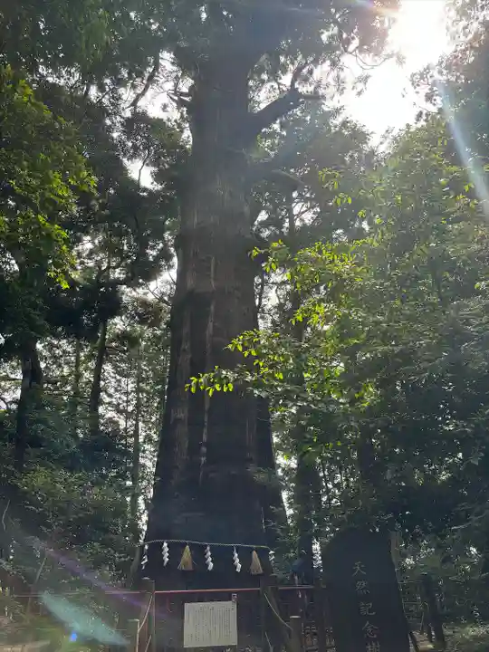 麻賀多神社(千葉県)