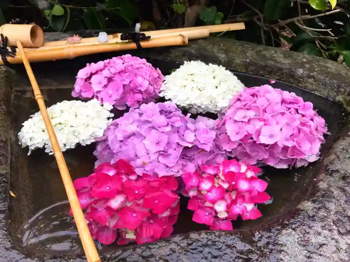 真言宗 善通寺派 薬王寺の手水舎