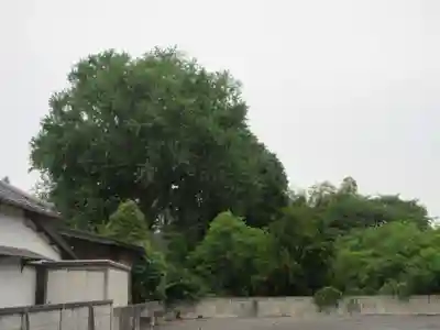 廣福寺(埼玉県)