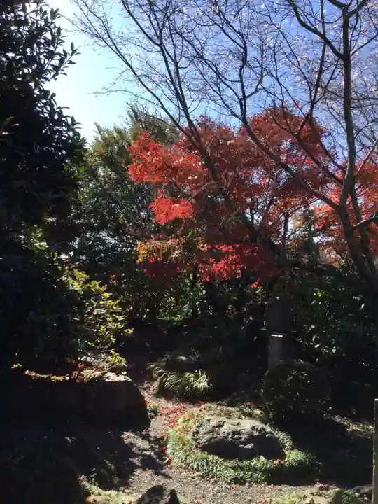 自音寺(群馬県)