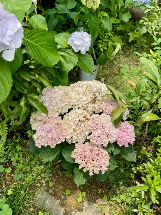 一心寺(東京都)
