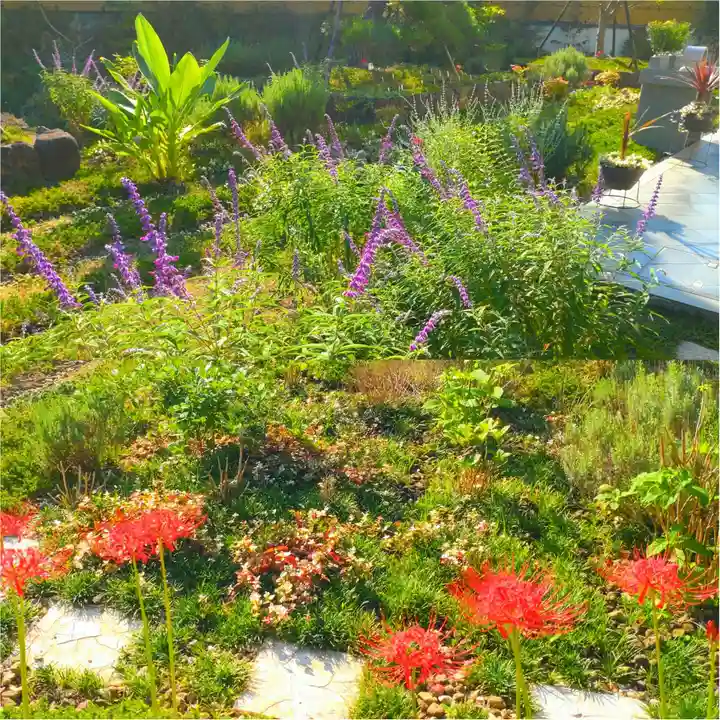 寿量山 速成寺(奈良県)