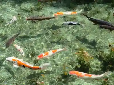 根道神社(岐阜県)