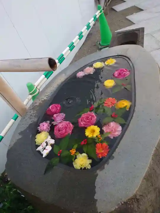 駒込妙義神社の手水舎