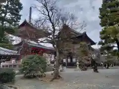 知恩院(京都府)