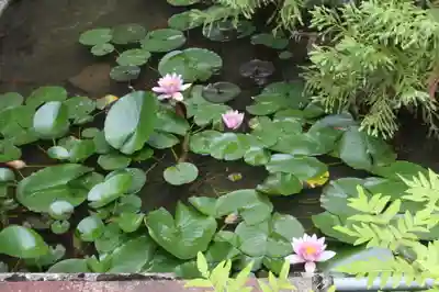 桑實寺(滋賀県)