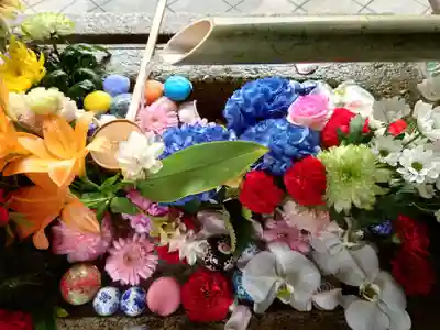 勝林寺(京都府)