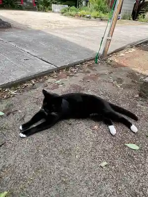 岡部春日神社～👹鬼門よけの🌺花咲く🌺やしろ～(福島県)