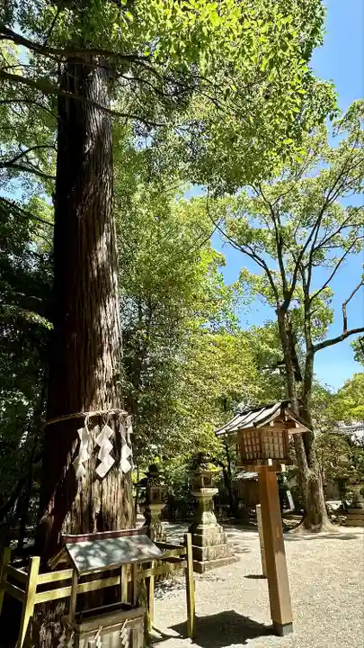 石上神宮(奈良県)