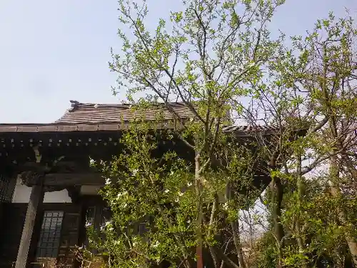 教恩寺のその他建物