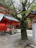 花園神社(東京都)