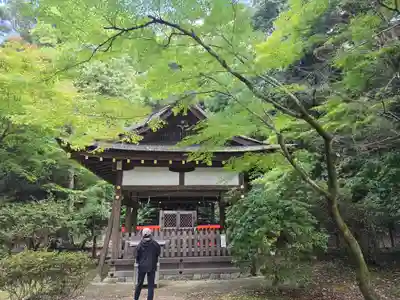 賀茂別雷神社（上賀茂神社）(京都府)