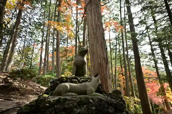 三峯神社(埼玉県)