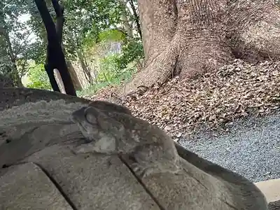 五所八幡宮の手水舎