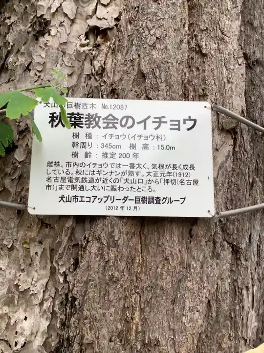 秋葉三尺坊大士 大士堂(秋葉教会)の自然