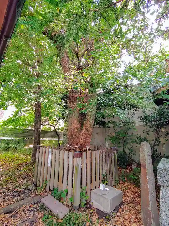 三徳龍神社(名東本通3)の自然