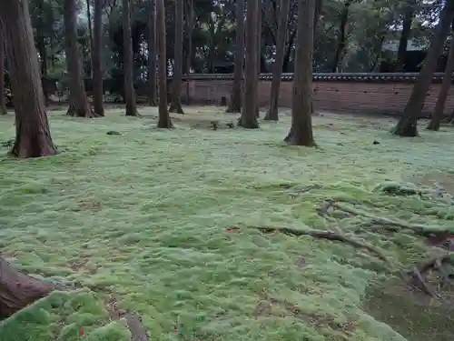 唐招提寺(奈良県)
