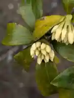 慶珊寺(神奈川県)